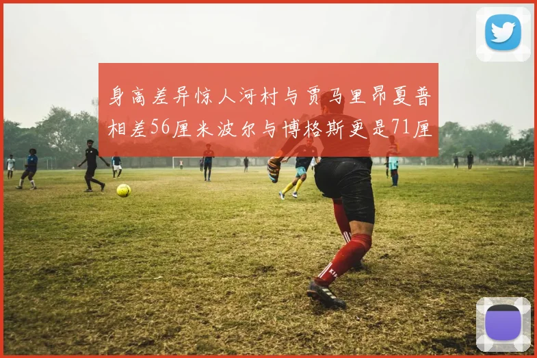 身高差异惊人河村与贾马里昂夏普相差56厘米波尔与博格斯更是71厘米